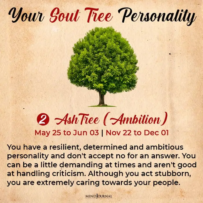 soul tree astrology ash