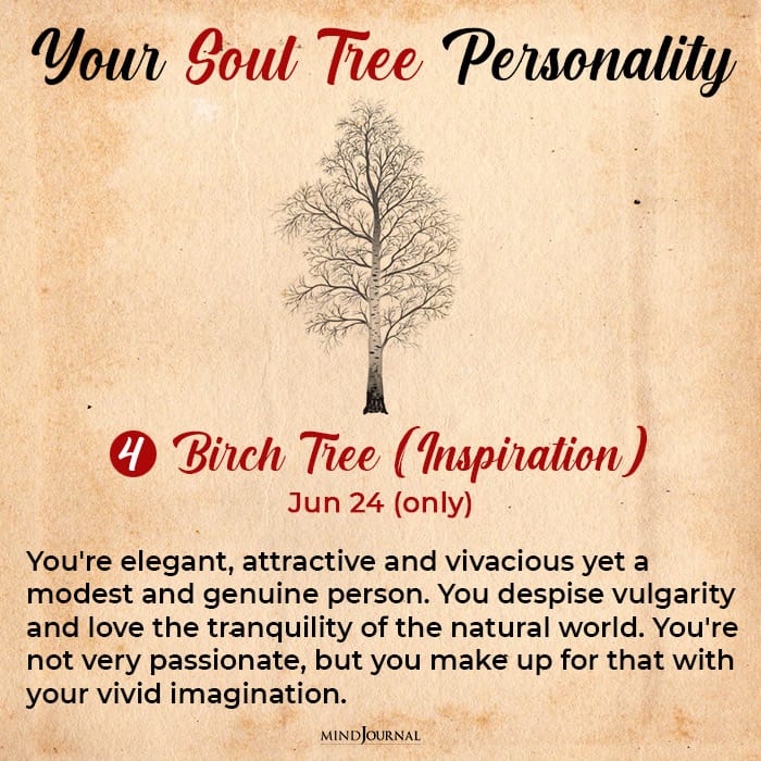 soul tree astrology birch