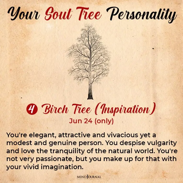 soul tree astrology birch
