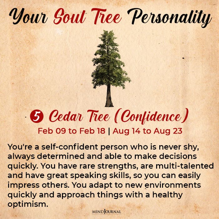 Soul tree astrology can reveal hidden secrets about your personality 