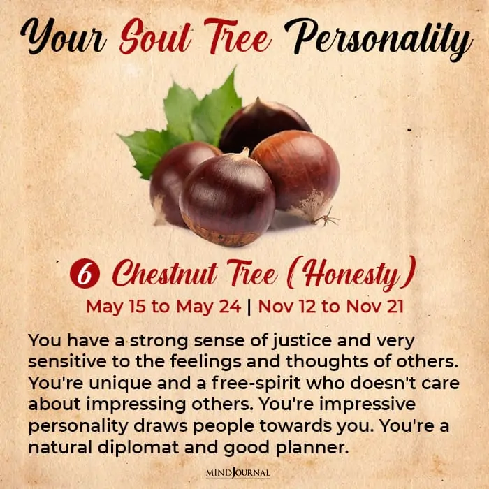 soul tree astrology chestnut