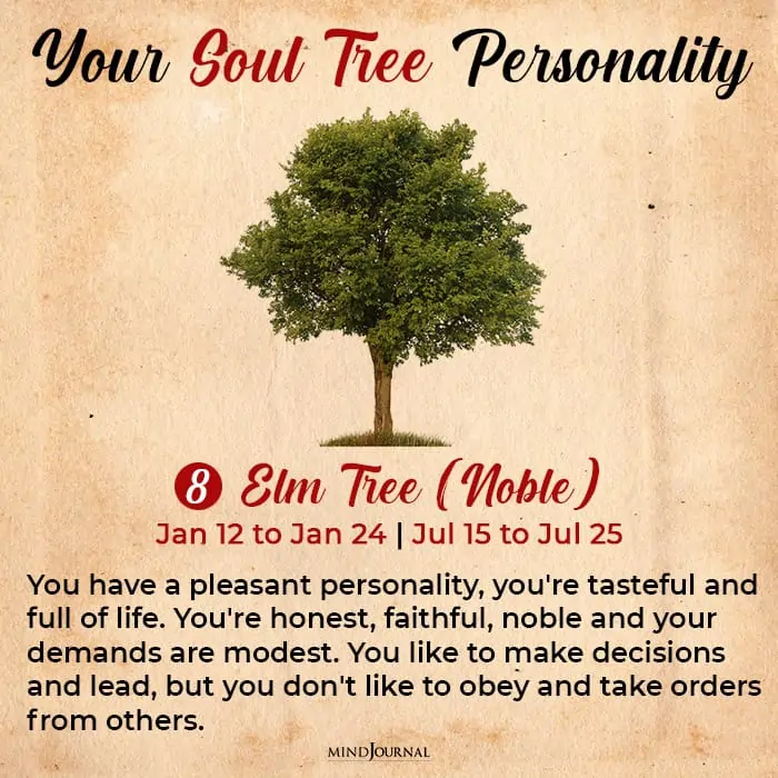 soul tree astrology elm