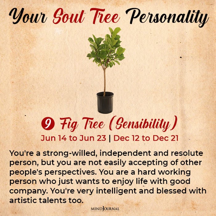 Soul tree astrology can reveal hidden secrets about your personality 