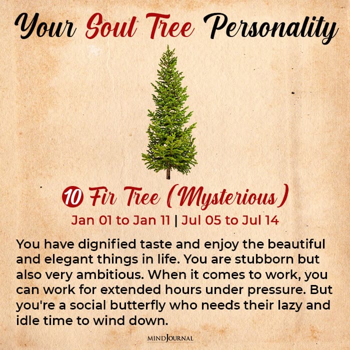 soul tree astrology fir