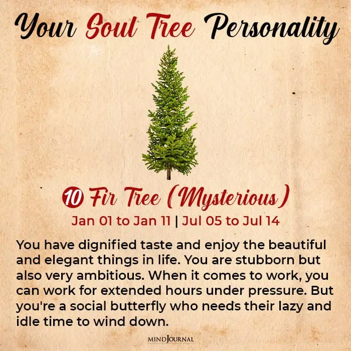 soul tree astrology fir