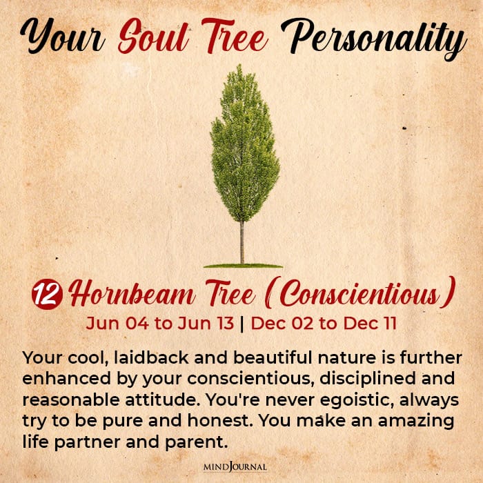 soul tree astrology horn