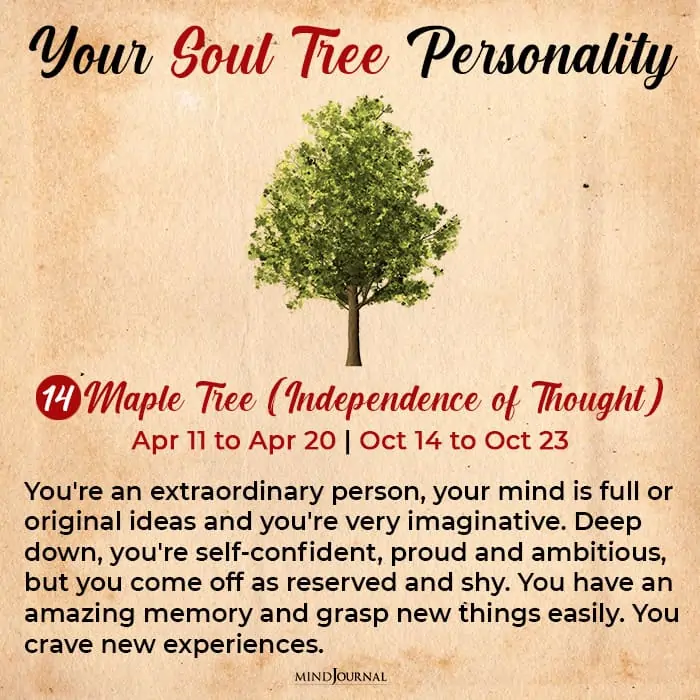 soul tree astrology maple