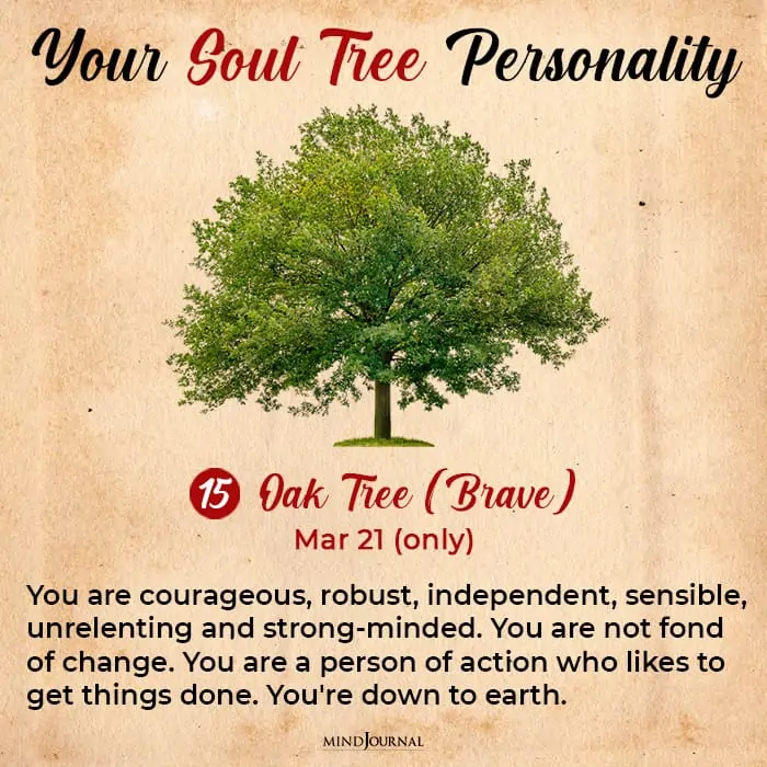 Soul tree astrology can reveal hidden secrets about your personality 