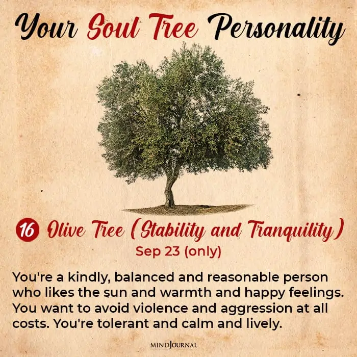 soul tree astrology olive