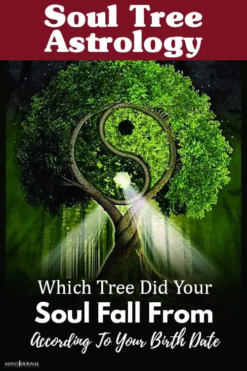 soul tree astrology pin