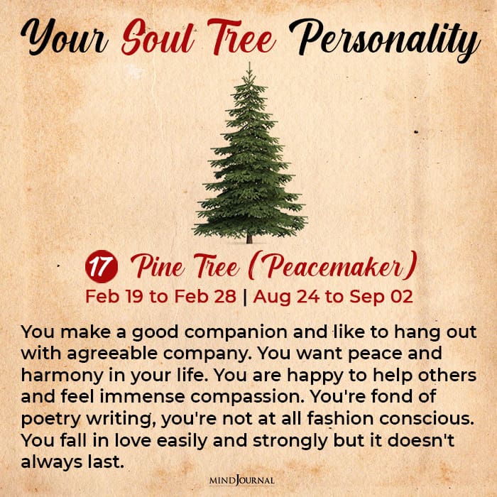 Soul tree astrology can reveal hidden secrets about your personality 