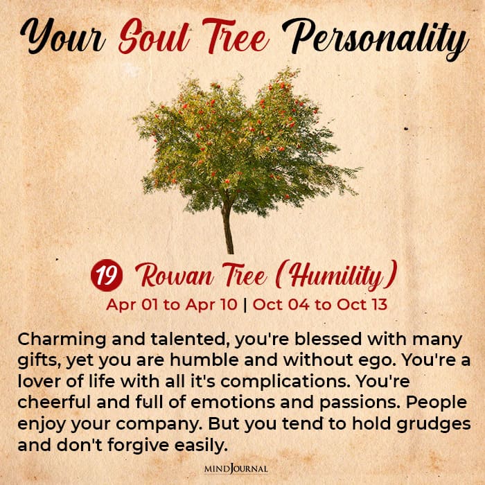 soul tree astrology rowan