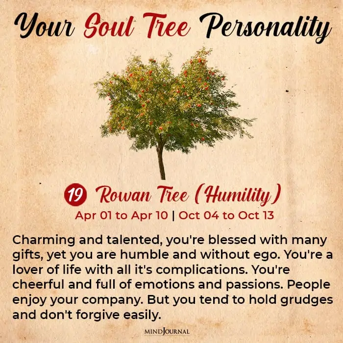 soul tree astrology rowan