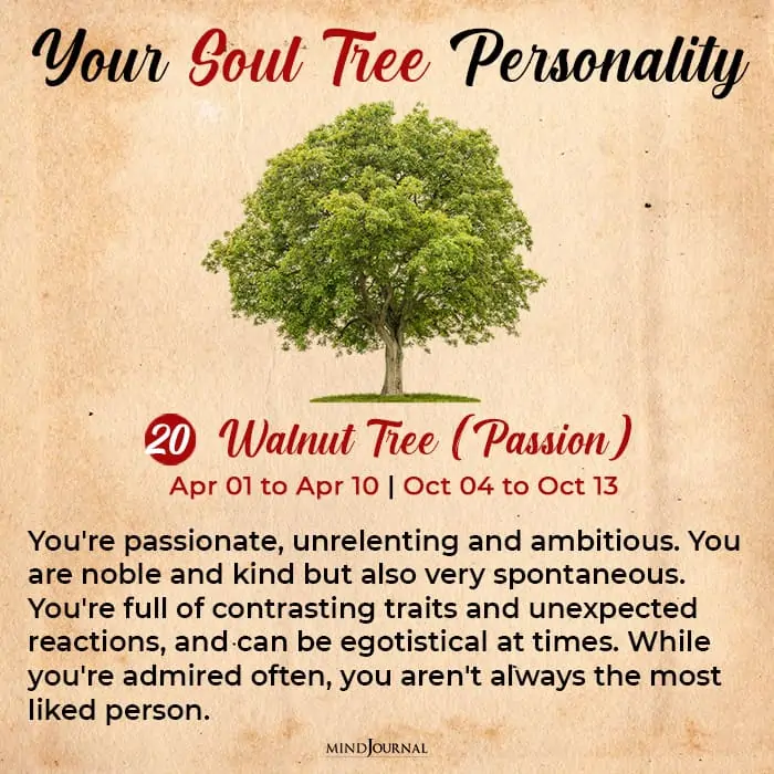 soul tree astrology walnut