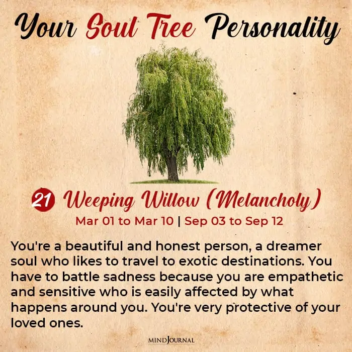 soul tree astrology willow