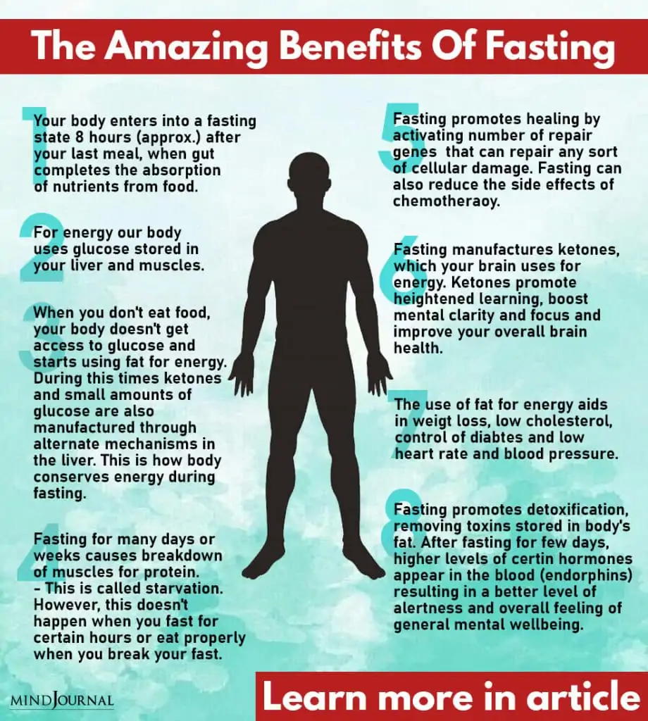 the amazing benefits of fasting on our body according to science info