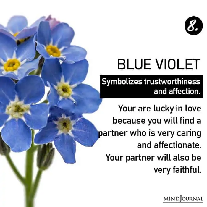 Choose Flower Reveals Love Life blue violet