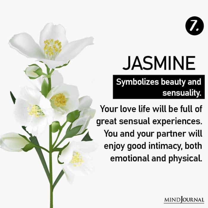 Choose Flower Reveals Love Life jasmine