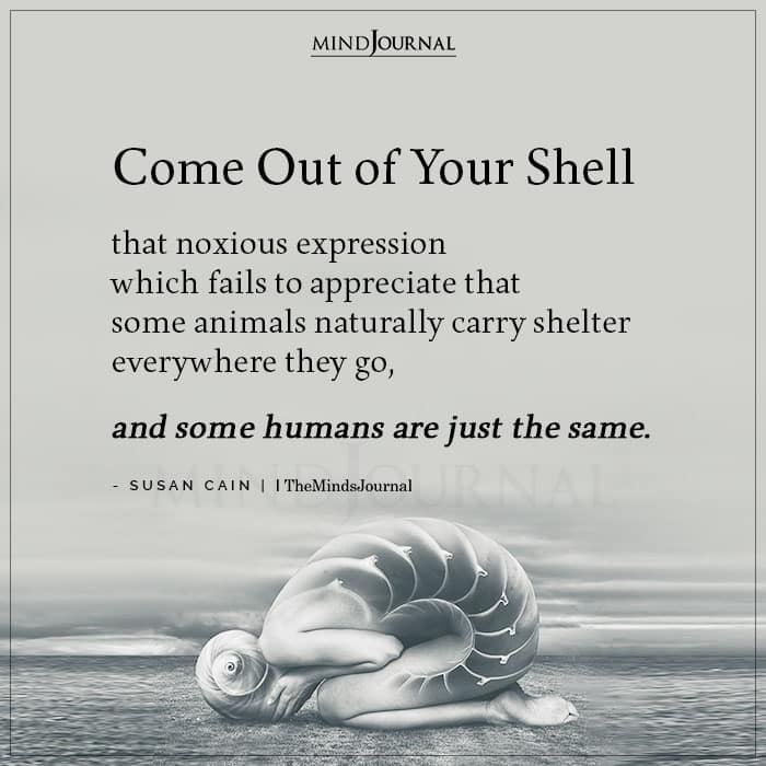 Come Out Of Your Shell