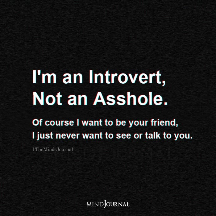I Am an Introvert Not An Asshole