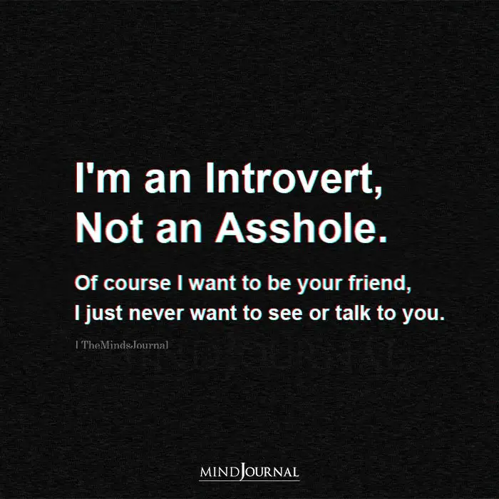 I Am an Introvert Not An Asshole