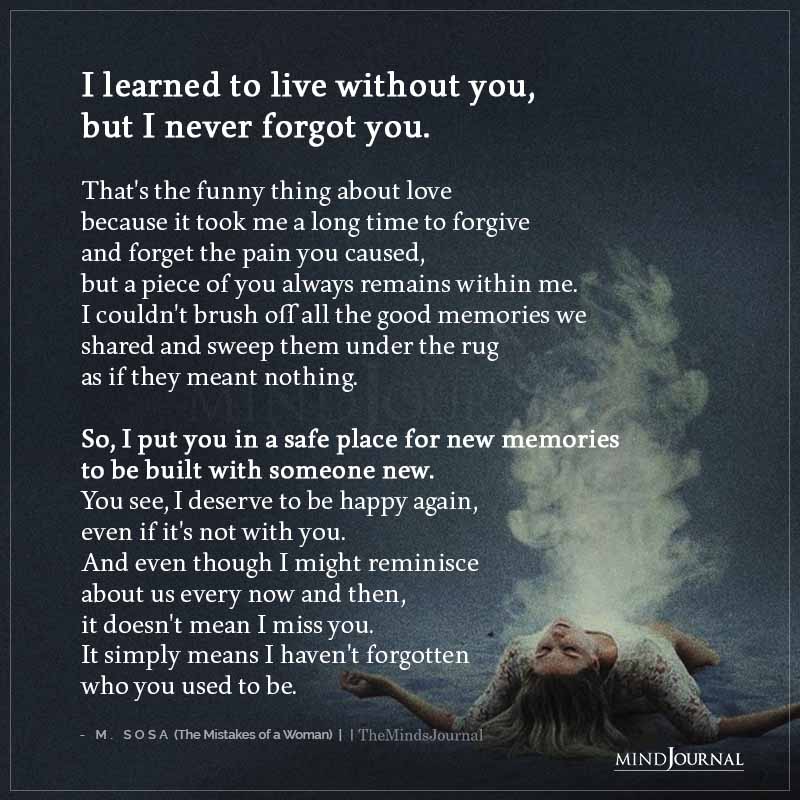 I Learned To Live Without You But I Never Forgot You