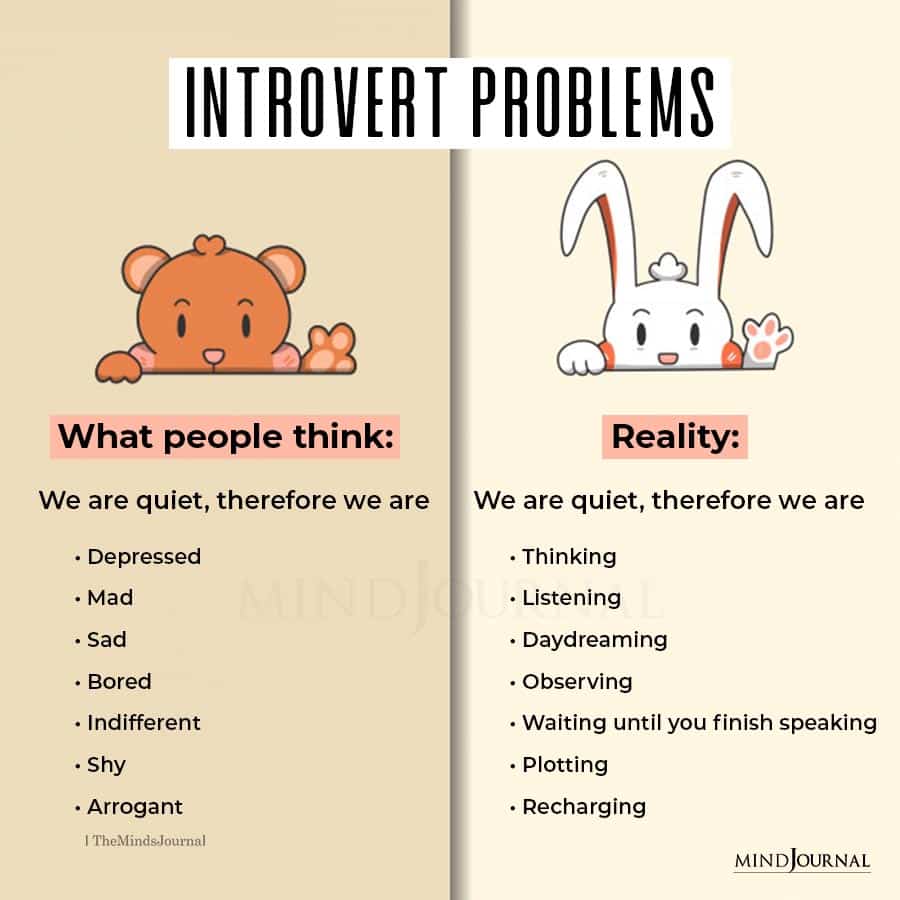 Introvert Problems What People Think Versus Reality