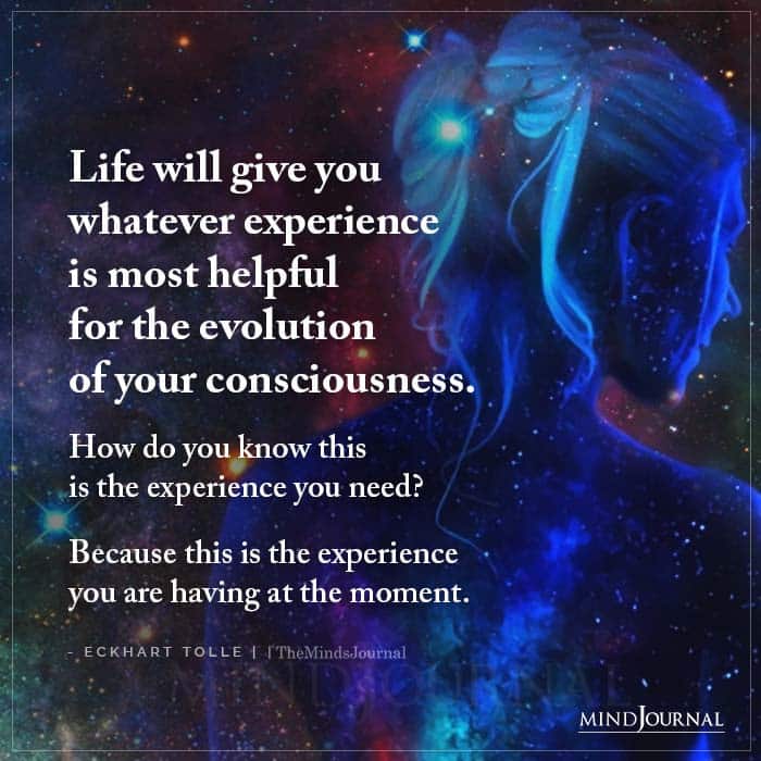 Life Will Give You Whatever Experience Is