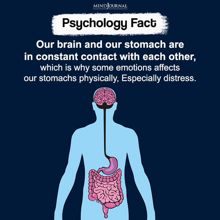 Our brain and our stomach are in constant contact