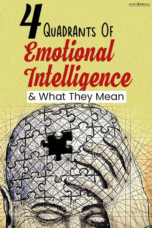 Quadrants Of Emotional Intelligence They Mean pin