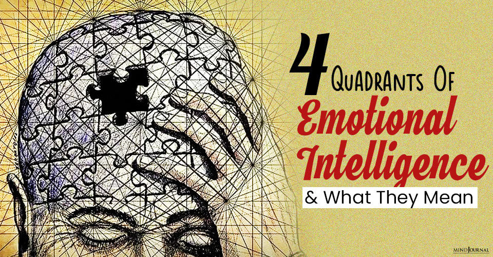 Quadrants Of Emotional Intelligence They Mean