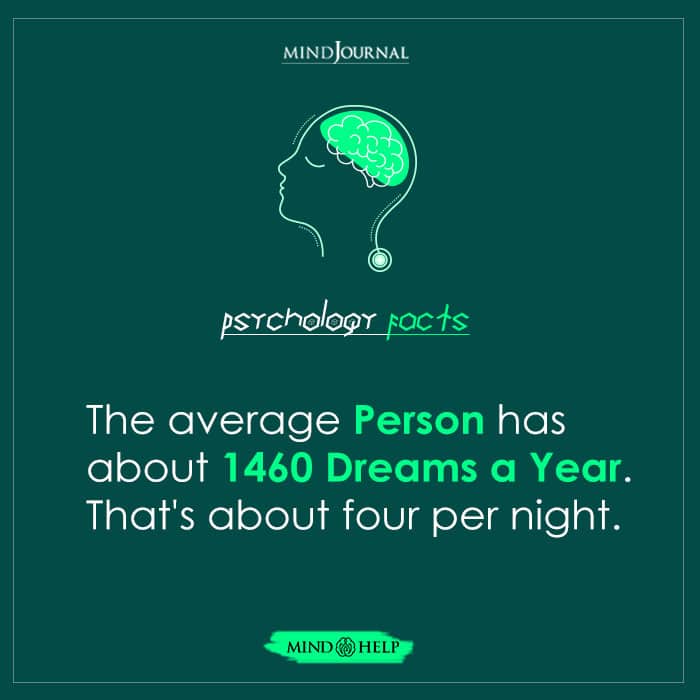 The Average Person