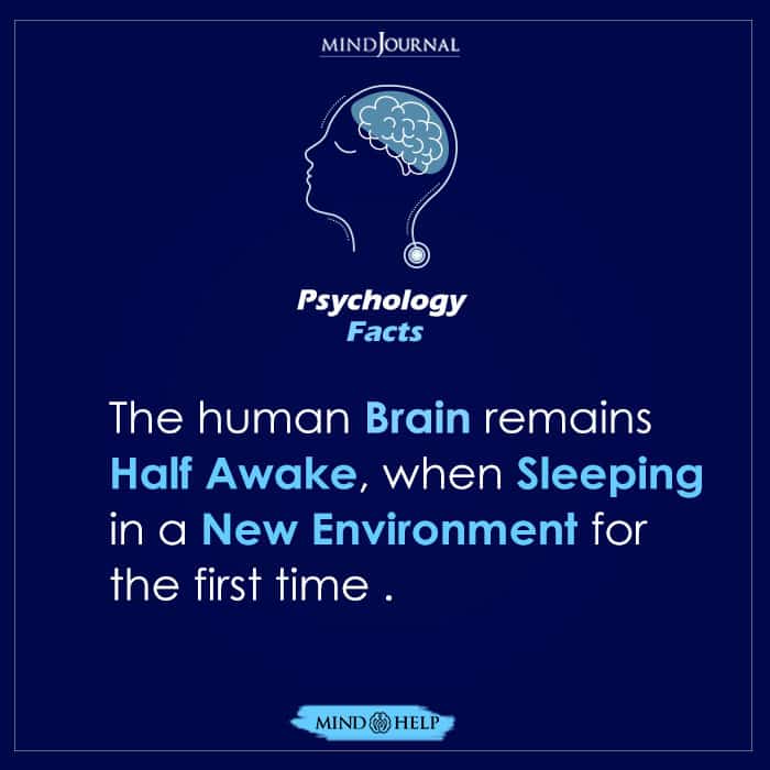 The Human Brain Remains Half Awake