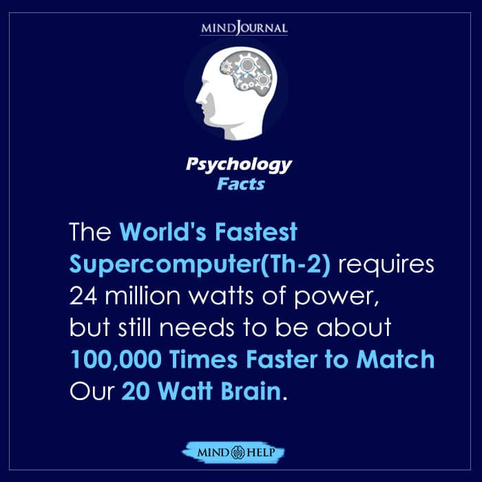 The World's Fastest Supercomputer