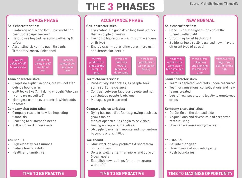 The 3 Phase Diagram - Vicki Shillington