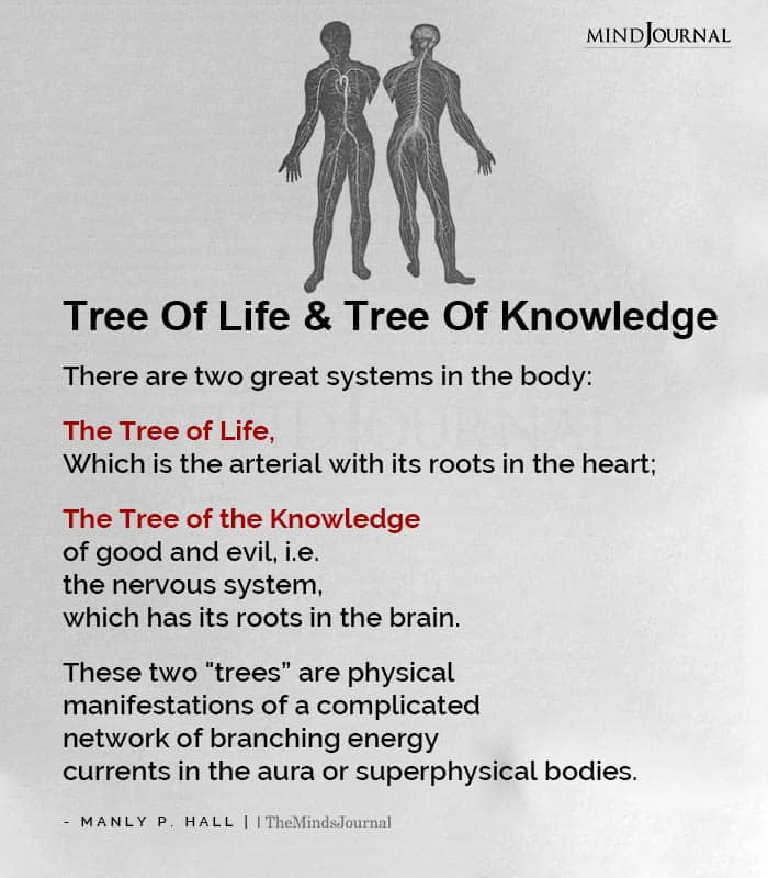 Tree Of Life And Tree Of Knowledge (1)