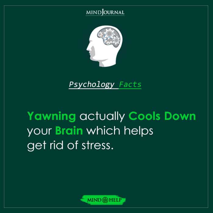 Yawning Actually Cools Down Your Brain