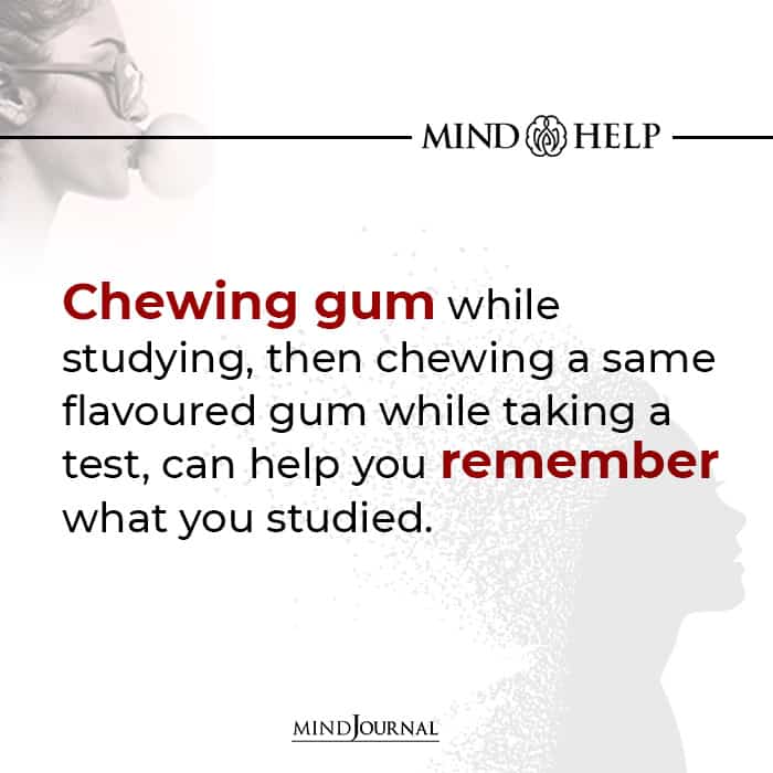 Chewing Gum While Studying
