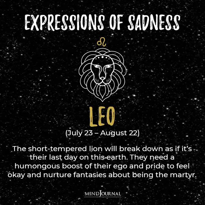 Expressions Of Sadness Leo