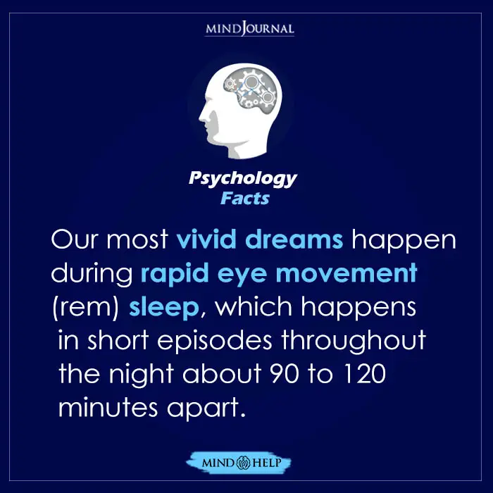 Our Most Vivid Dreams Happen During Rapid Eye Movement