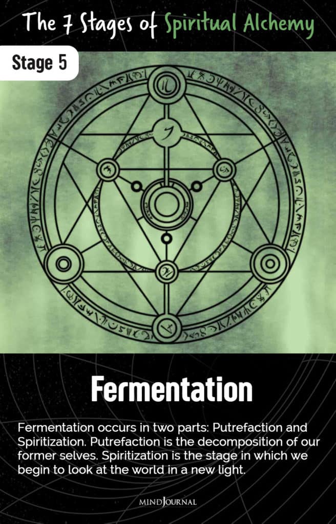 Stages Spiritual Alchemy Fermentation