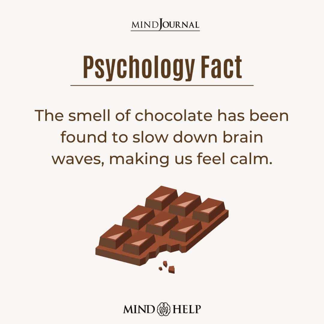 The Smell Of Chocolate Has Been Found To Slow Down Brain Waves