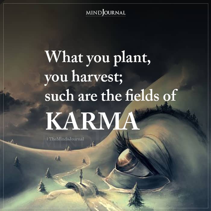 What You Plant You Harvest