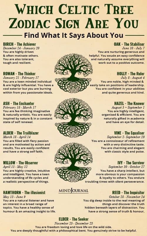 Which Celtic Tree Zodiac Sign Are You Says About You pin