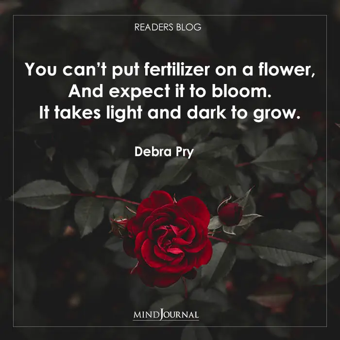 You can’t put fertilizer on a flower