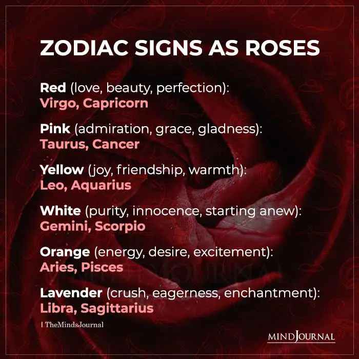 Zodiac Signs As Roses