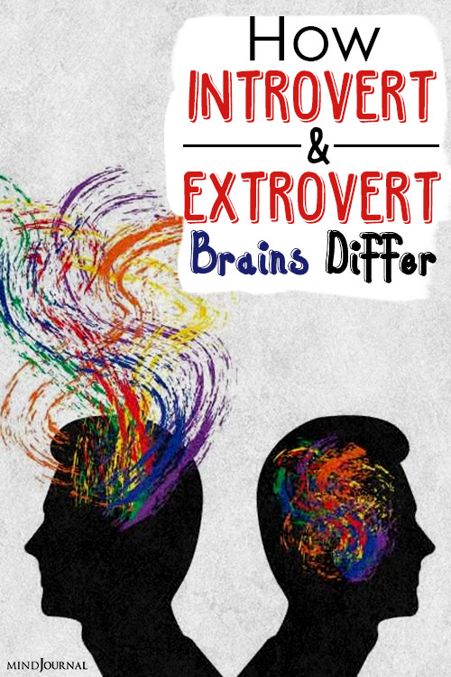 how introvert and extrovert brains differ pinex