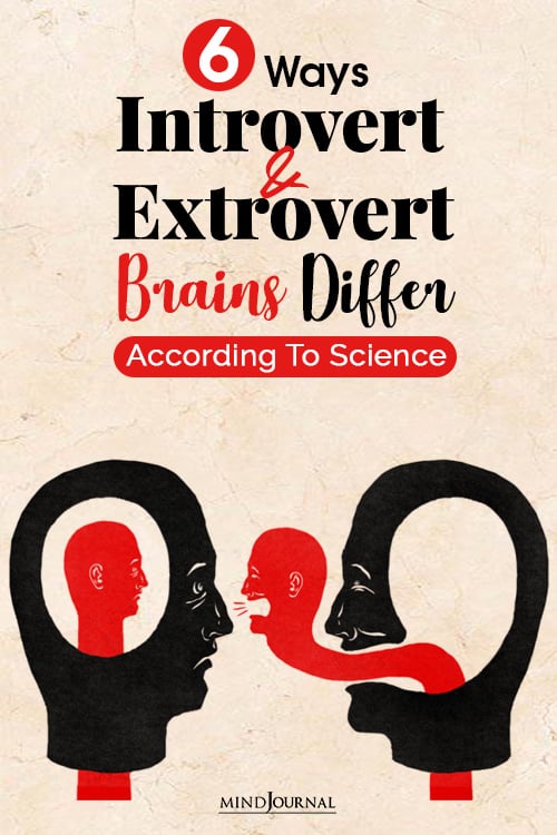 introvert and extrovert brains differ pin