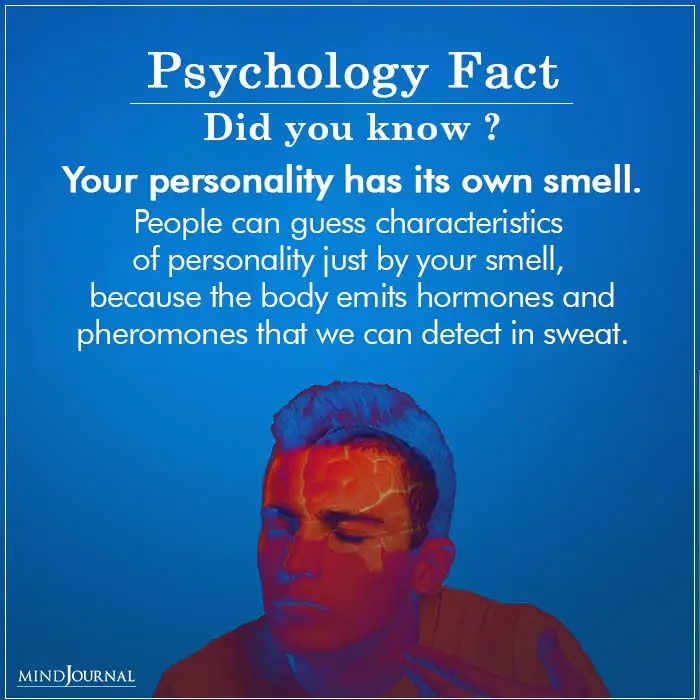 personality fact