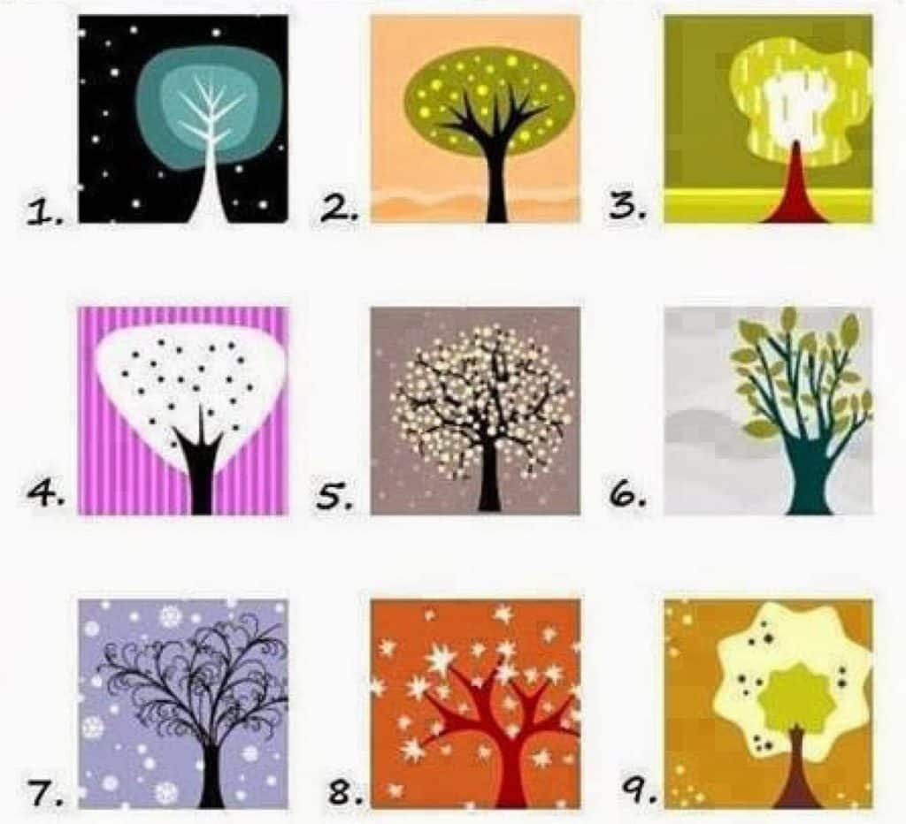 personality test drawing a tree howtoglowupbeforehighschool